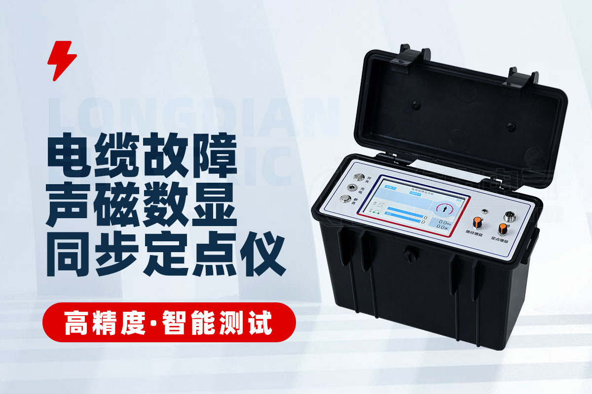 聲磁數(shù)顯同步定點儀 聲磁數(shù)顯同步定點儀